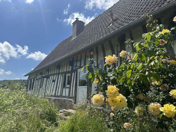 Maison à NEUFCHATEL-EN-BRAY