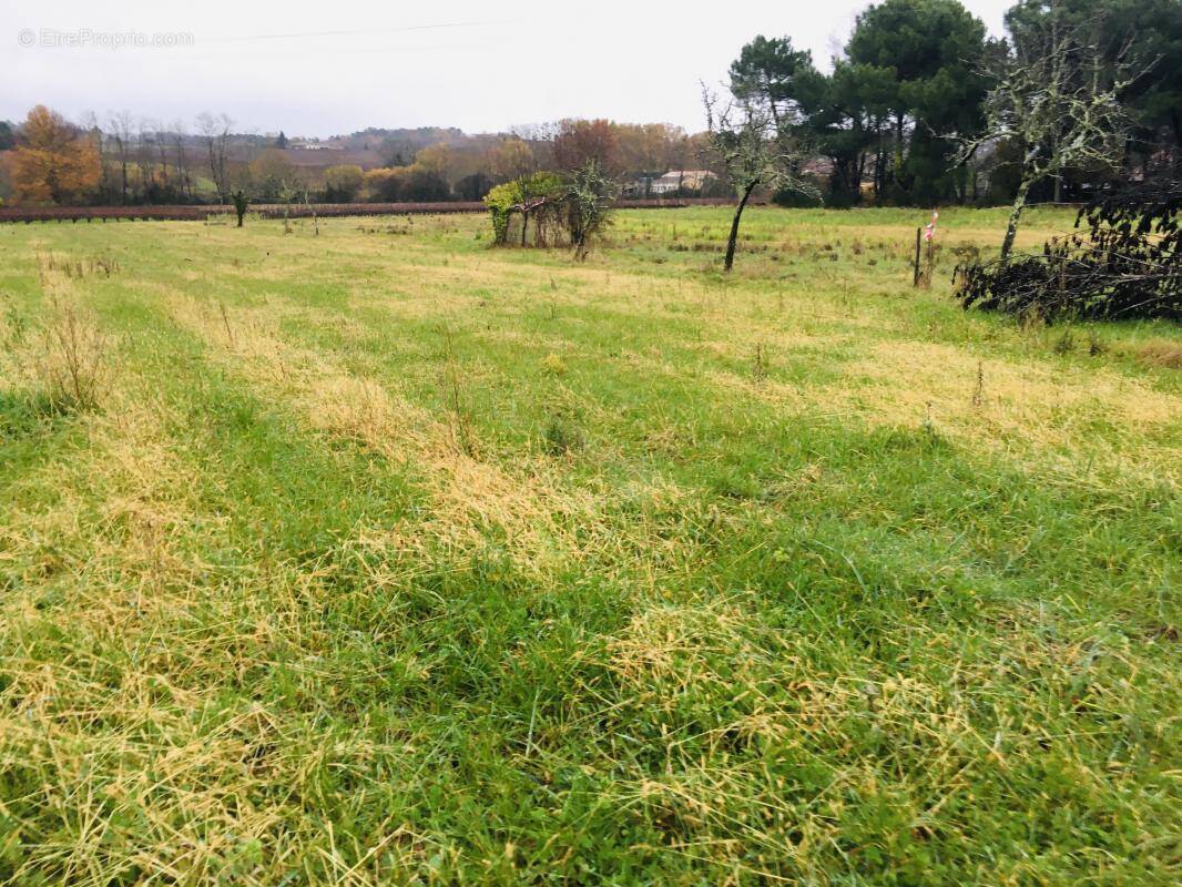 Terrain à GAURIAGUET