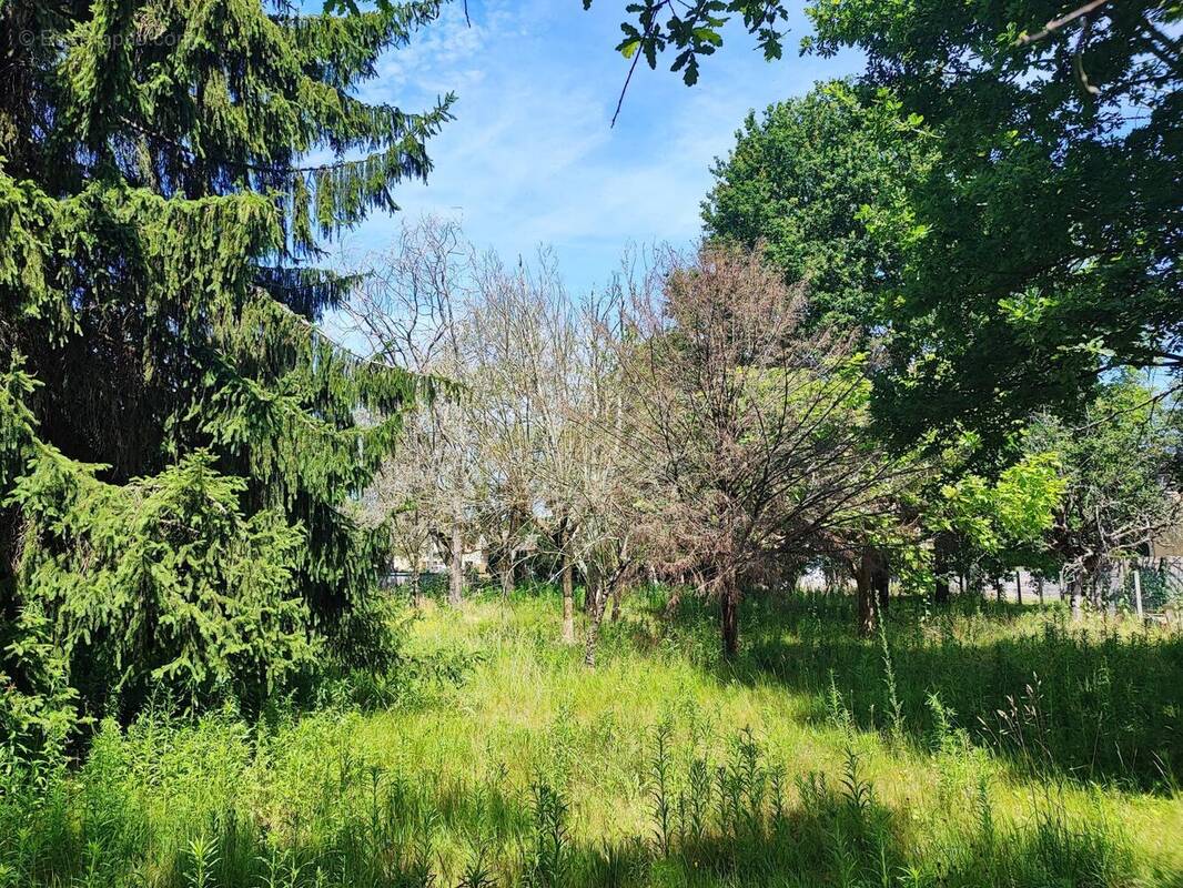 Terrain à SAINT-LAURENT-MEDOC