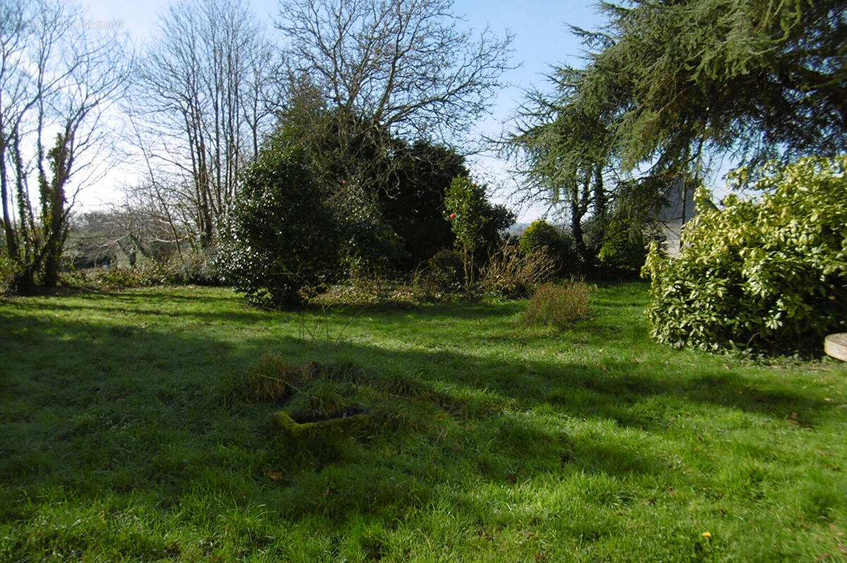 Terrain à LA FORET-FOUESNANT