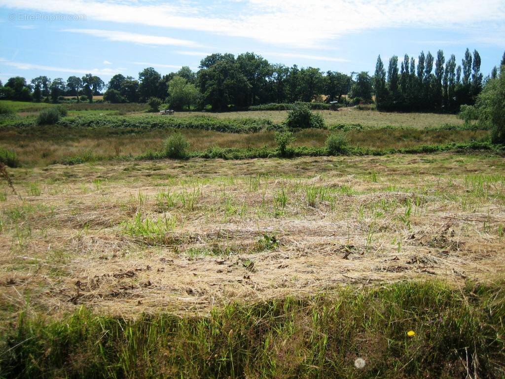 Terrain à PLOERDUT