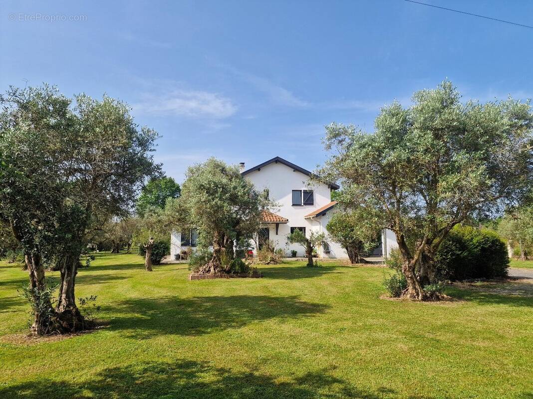 Maison à PUYOO