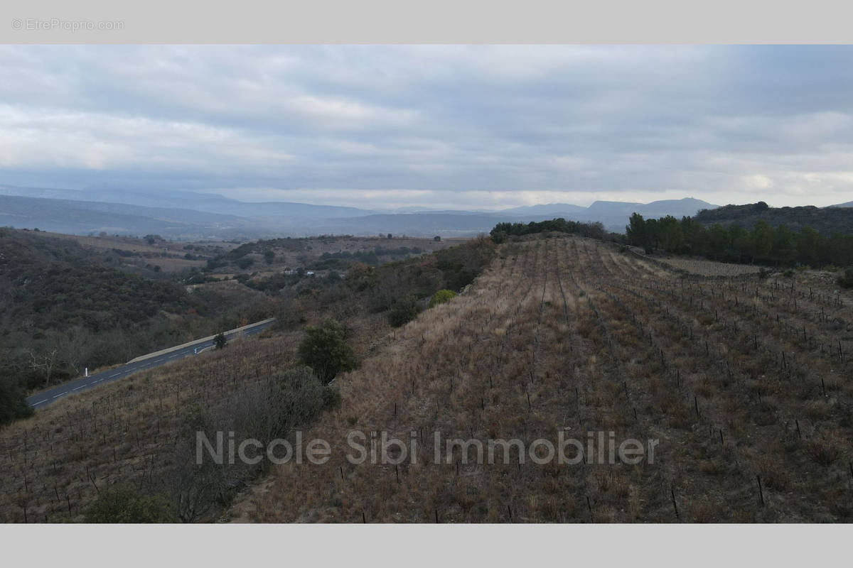 Terrain à MONTNER