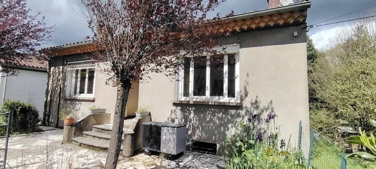Photo 1 - Maison à SAINT-AMANS-SOULT