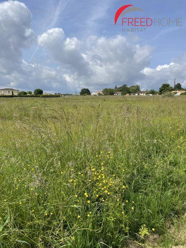 Terrain à TAURIAC