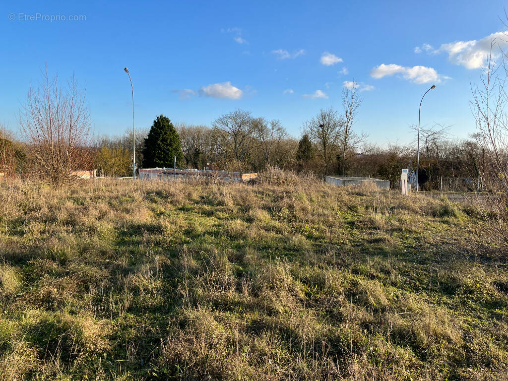 Terrain à THOUROTTE