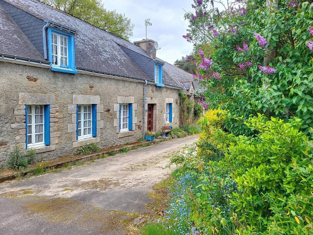 Photo 1 - Maison à PLEUGRIFFET