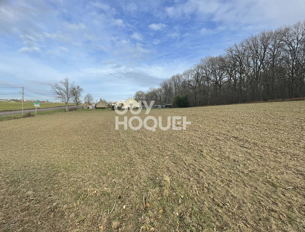 Terrain à LA COMELLE