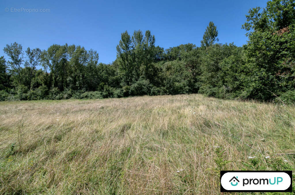 Terrain à MALAUSE