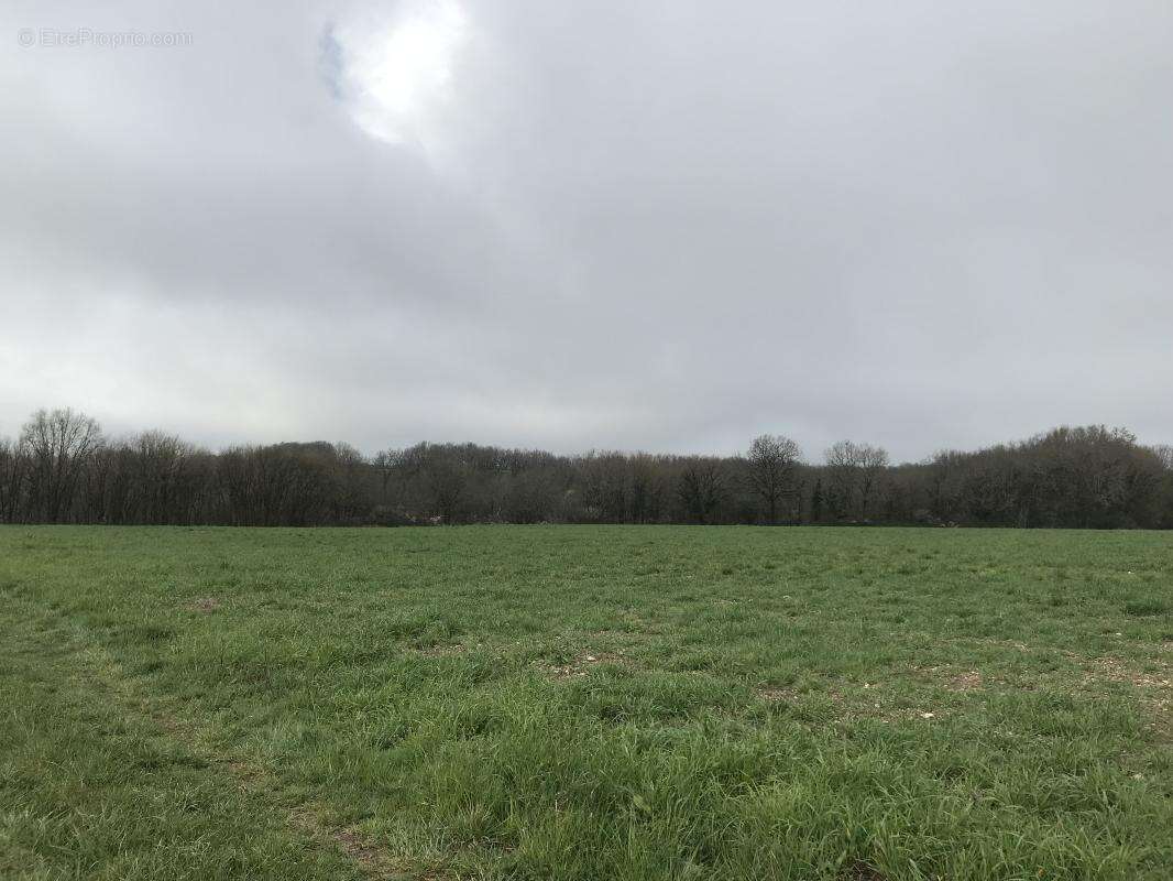 Terrain à BEAUMONT-DU-PERIGORD
