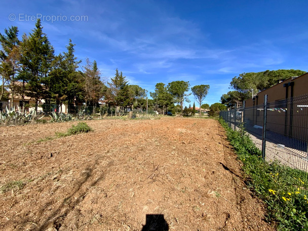 Terrain à MARSEILLAN