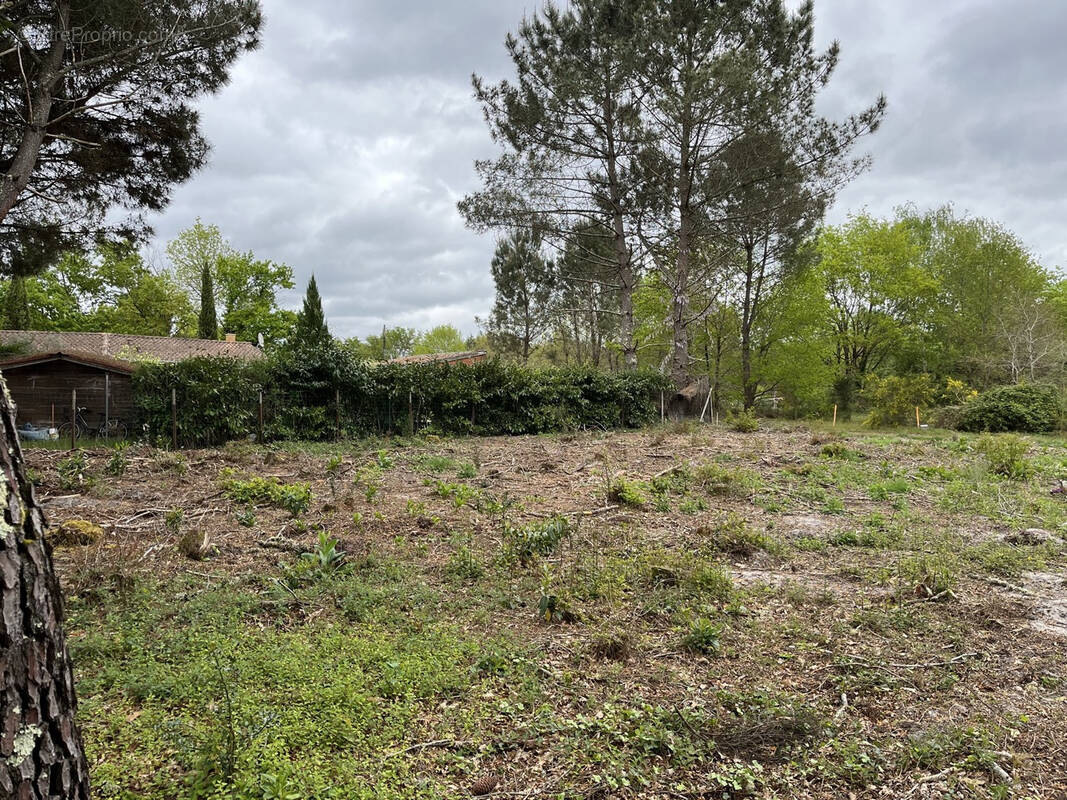 Terrain à BALIZAC