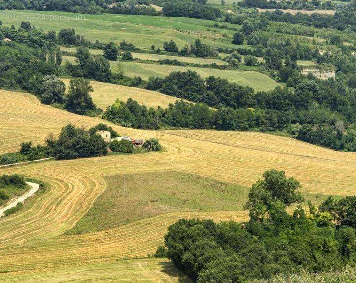 Terrain à LES BROUZILS