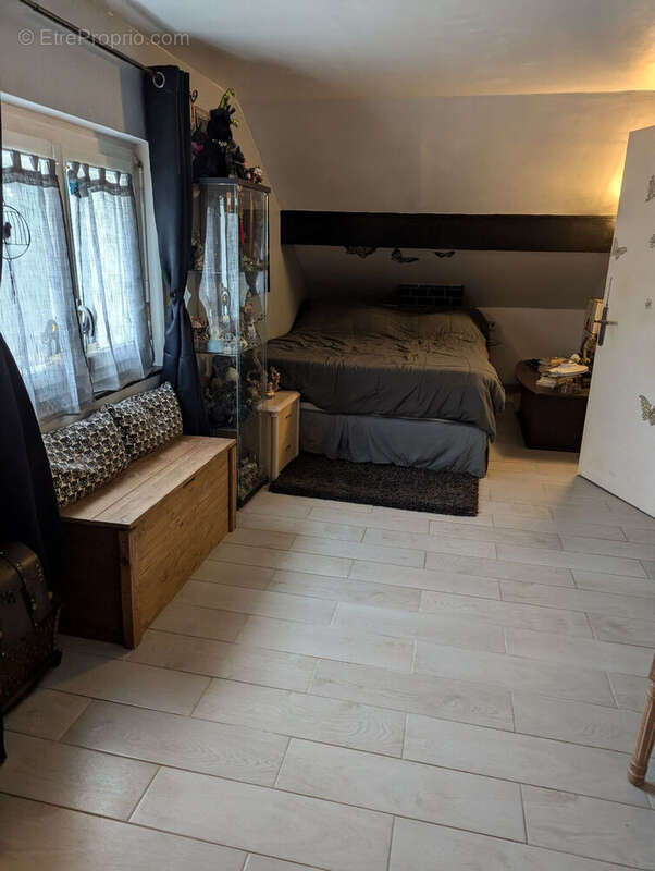 Photo 5 - Maison à FONTAINE-LE-PORT
