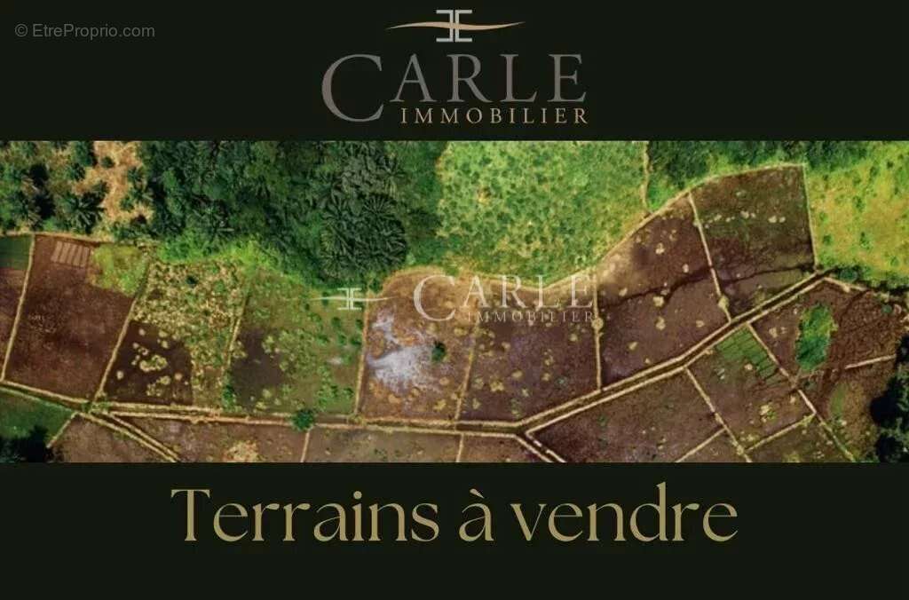 Terrain à SAINT-BONNET-DE-MURE
