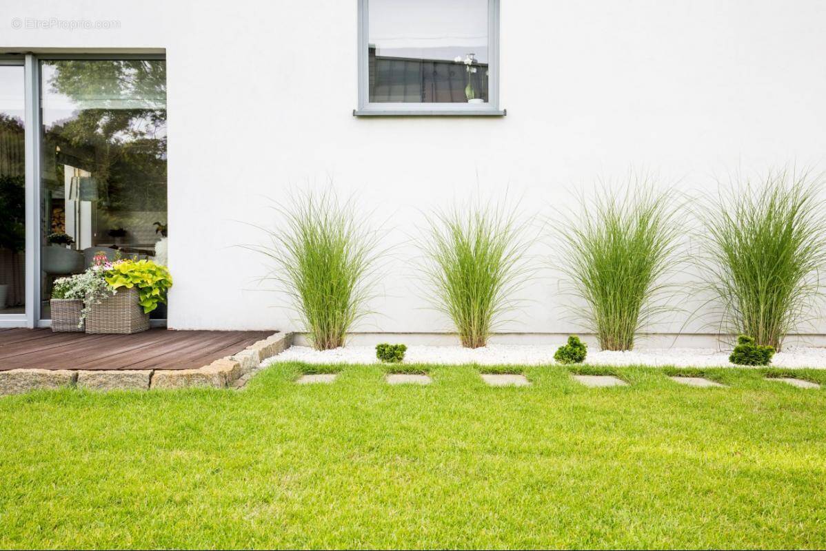 Appartement à MAUGUIO