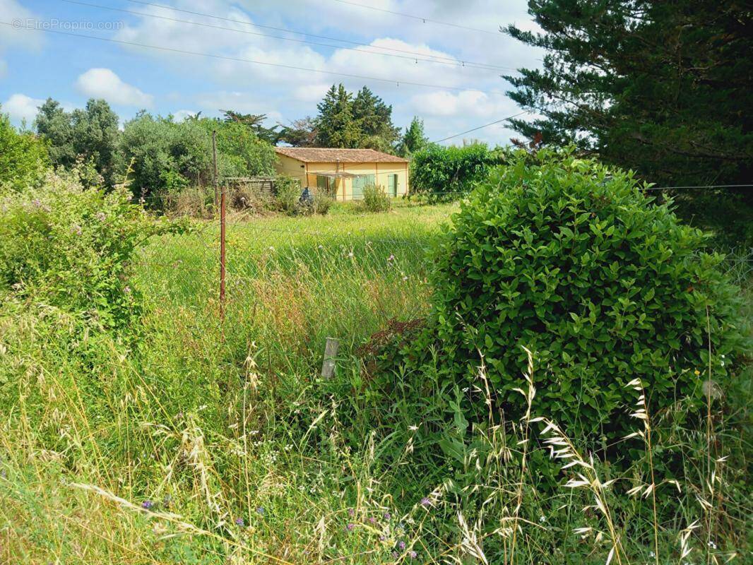 Terrain à ESPONDEILHAN