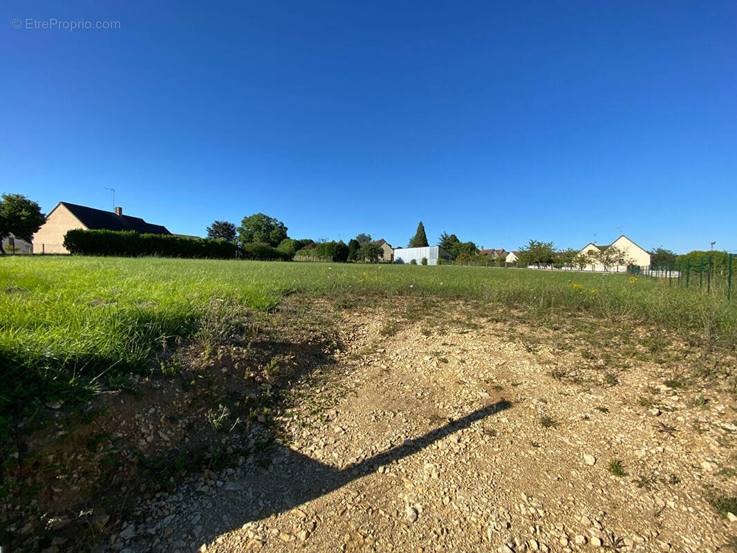 Terrain à LA FERTE-BERNARD