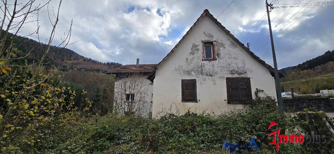 Autre à MITZACH