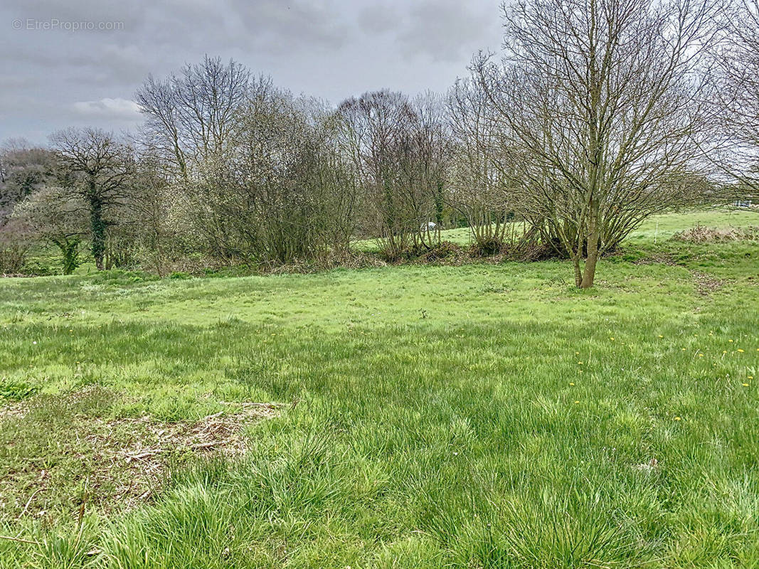 Terrain à LA MEAUGON