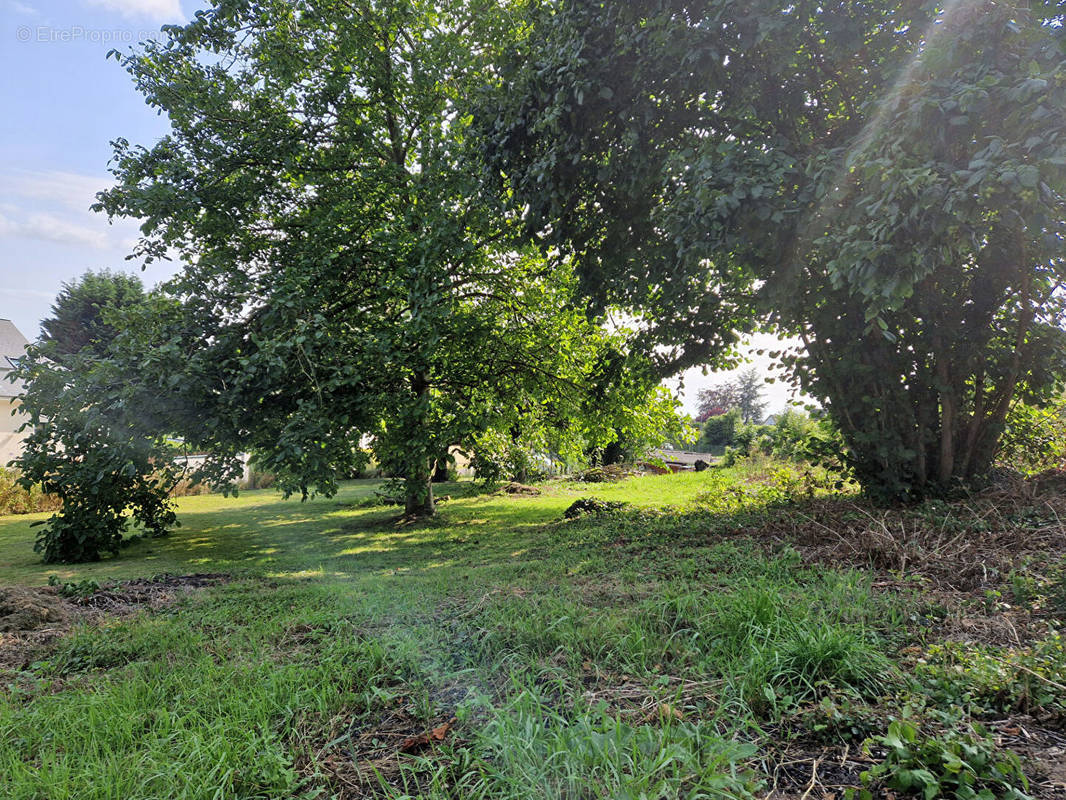 Terrain à SAINT-ROMAIN-DE-COLBOSC