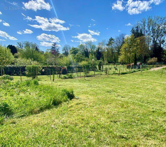 Terrain à BELLERIVE-SUR-ALLIER