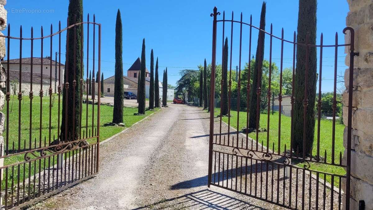 Photo 2 - Maison à GAILLAC