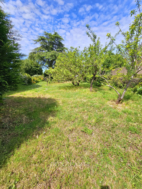 Terrain à SAINT-NAZAIRE