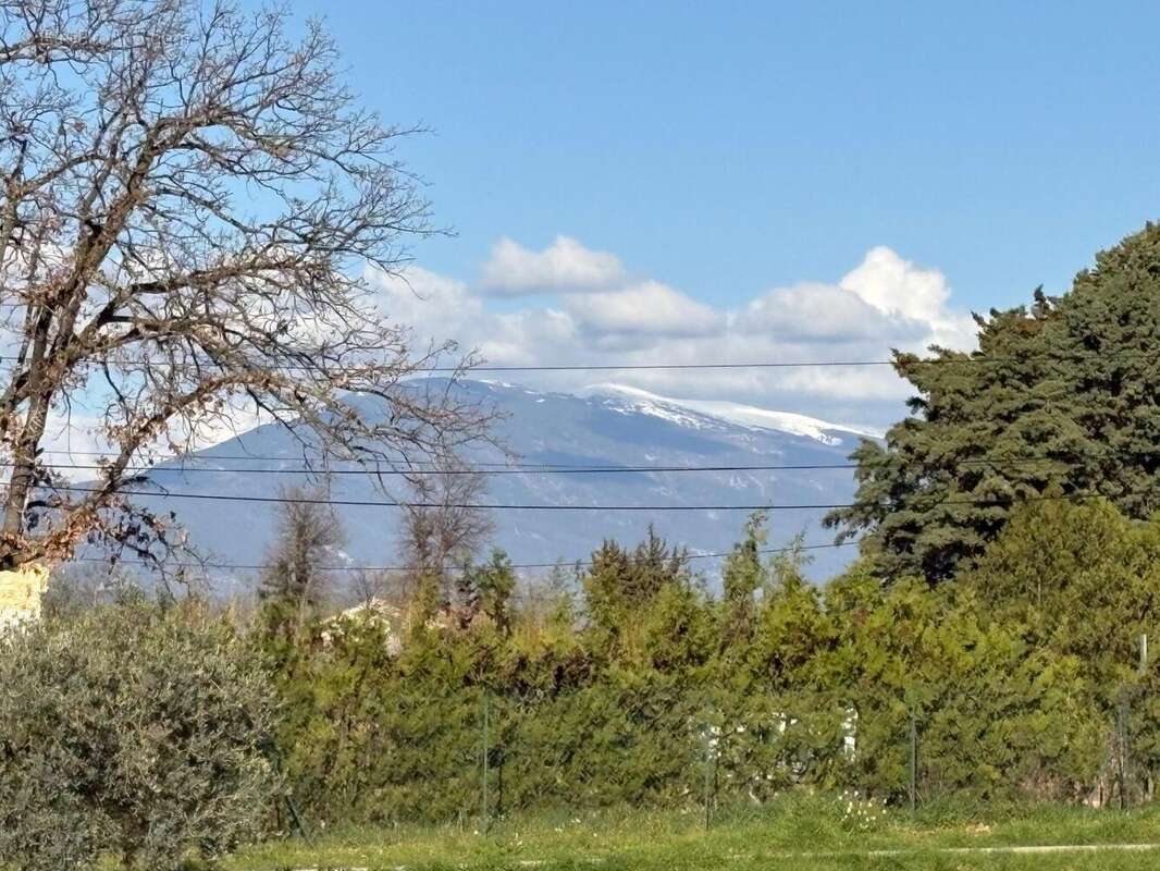 Photo 5 - Maison à LORIOL-DU-COMTAT