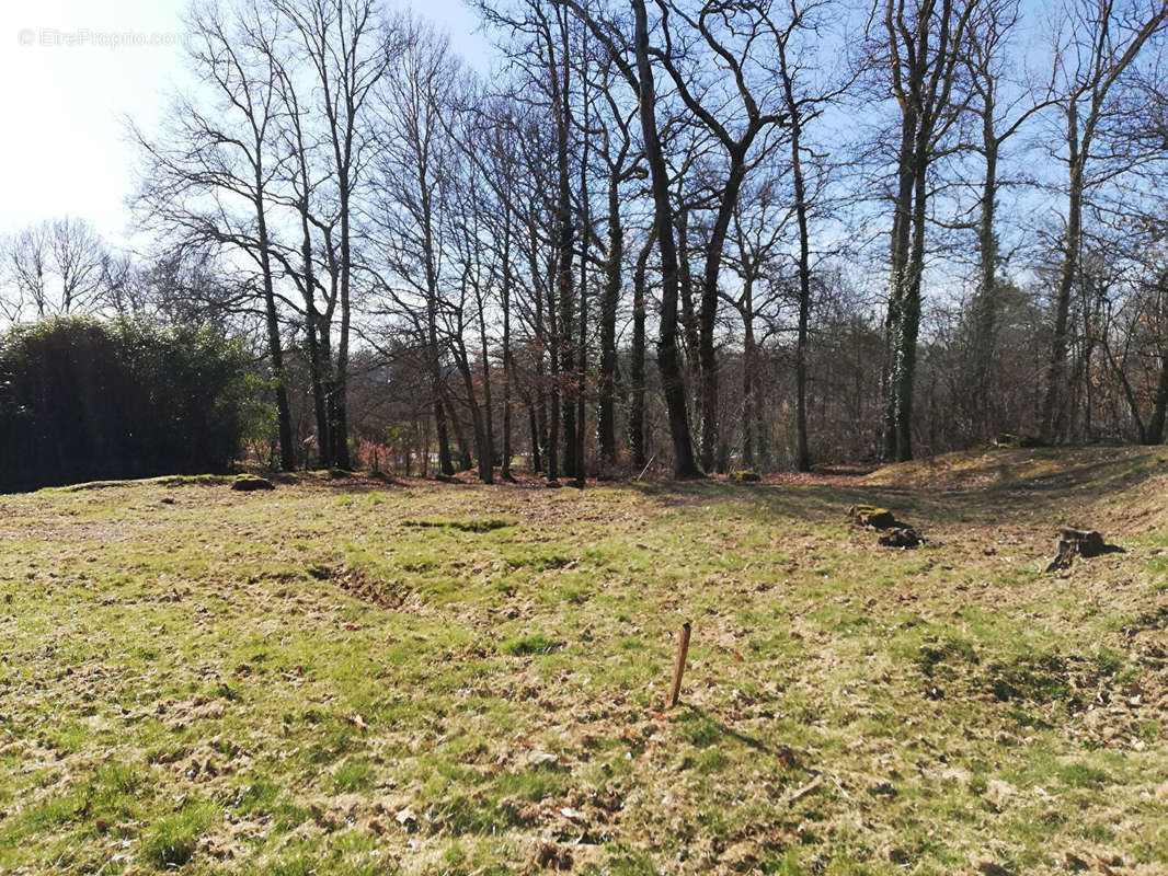 Terrain à ANNESSE-ET-BEAULIEU