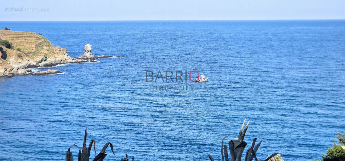 Appartement à BANYULS-SUR-MER