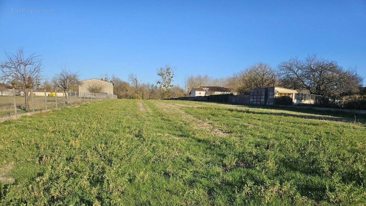 Terrain à COUSSAY-LES-BOIS