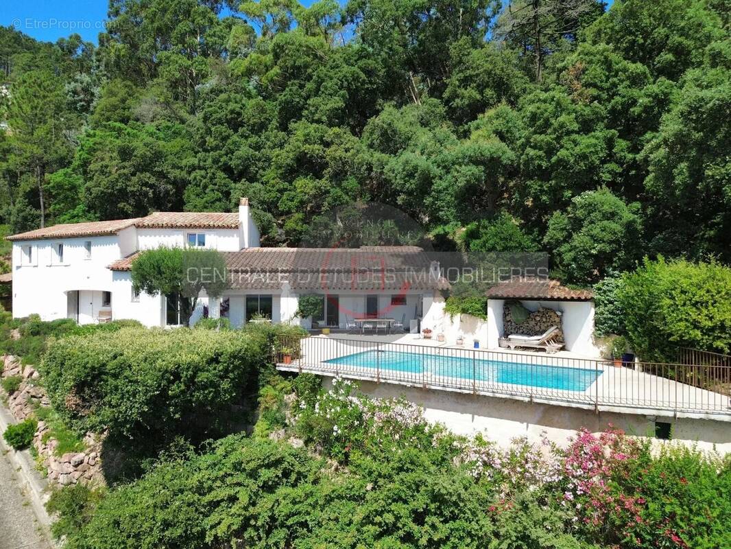 Maison à MANDELIEU-LA-NAPOULE