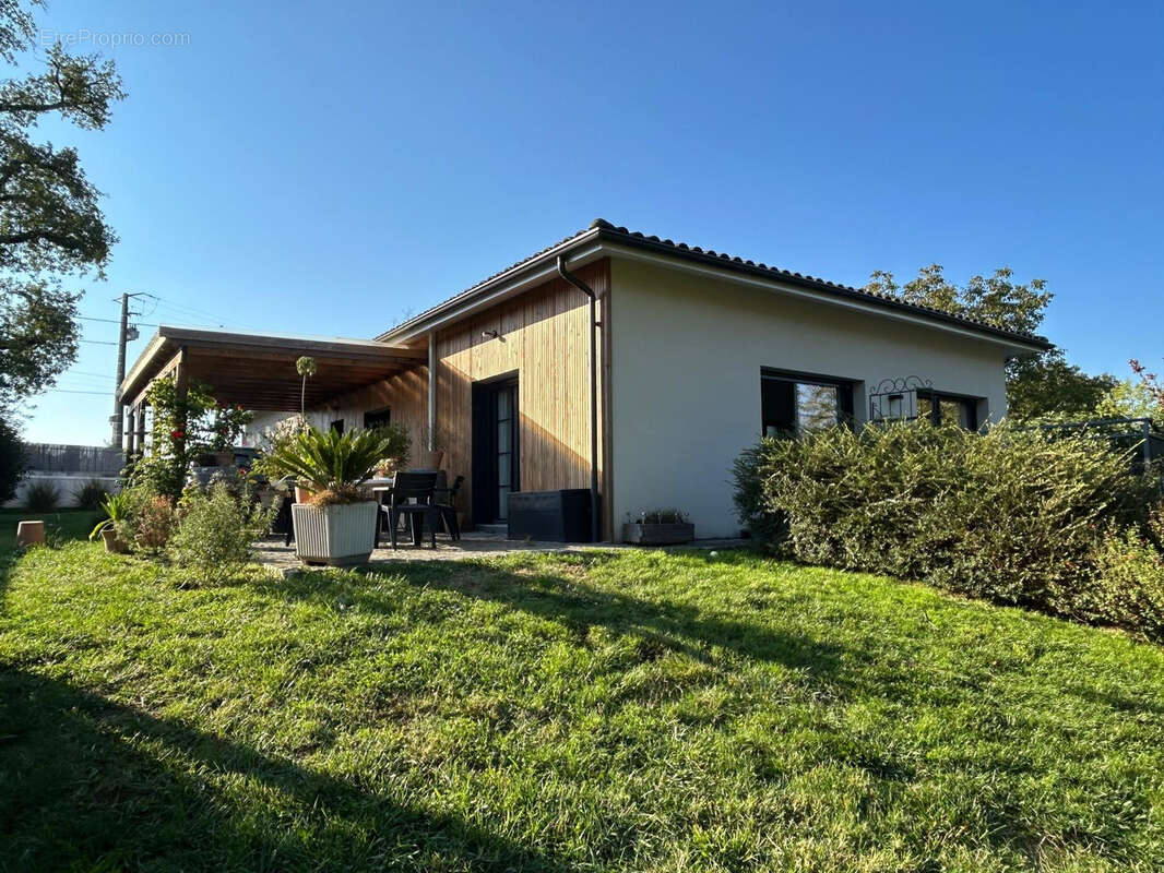 Maison à LOUPES