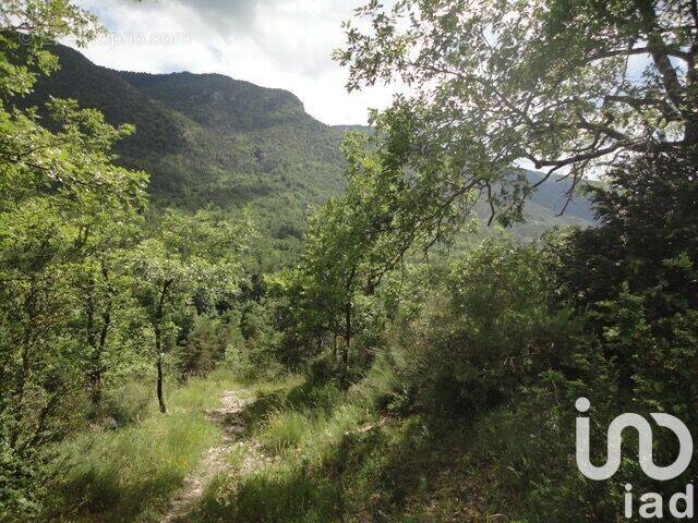 Photo 1 - Terrain à LE MAS
