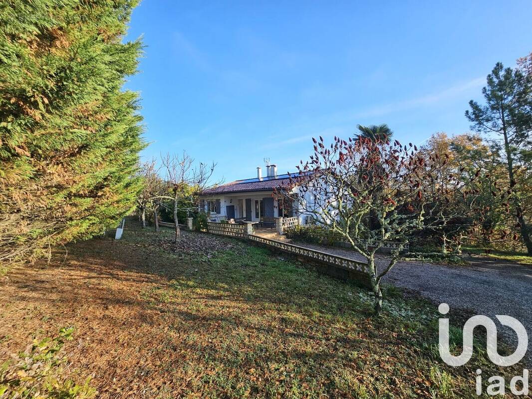 Photo 1 - Maison à MOISSAC