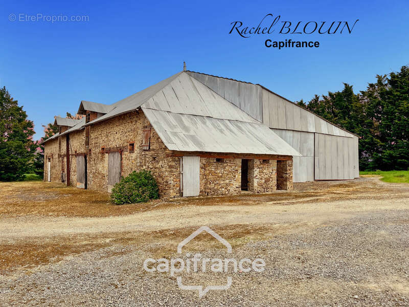 Maison à MARTIGNE-FERCHAUD