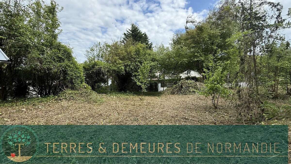 Terrain à ANCOURT