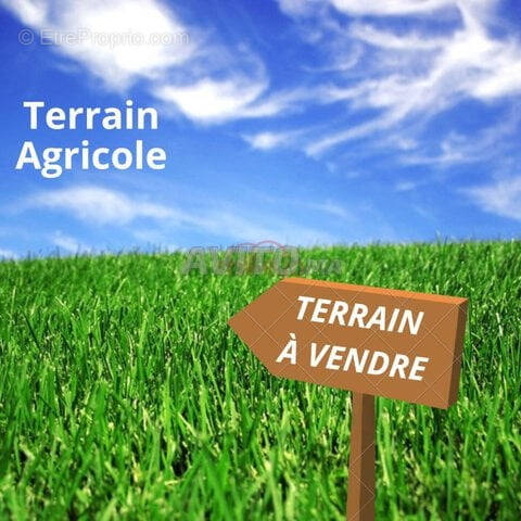 Terrain à AMBRINES
