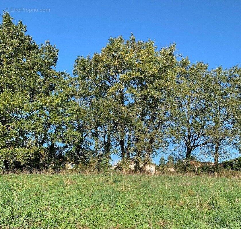 Terrain à MACHECOUL
