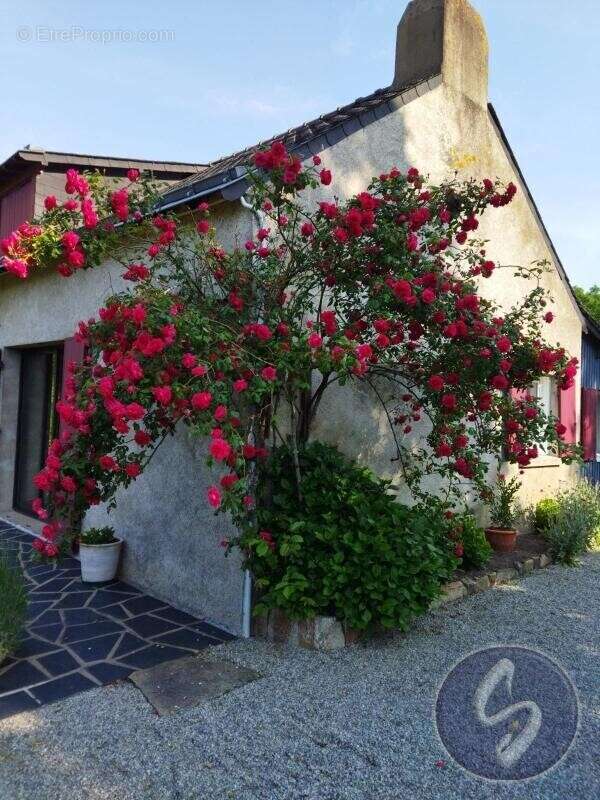 Maison à PETIT-MARS