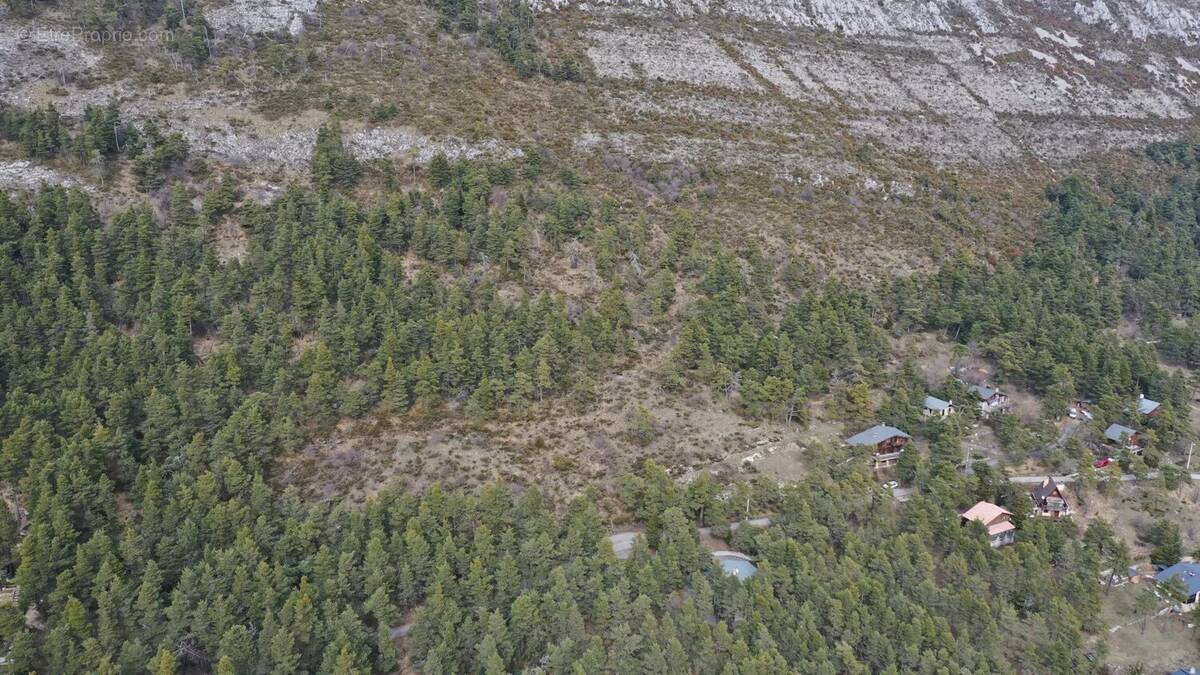 Terrain à CAILLE