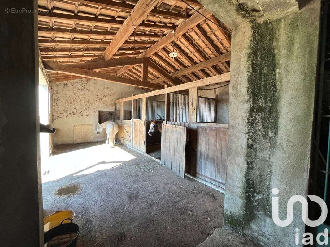 Photo 4 - Maison à VAUVERT