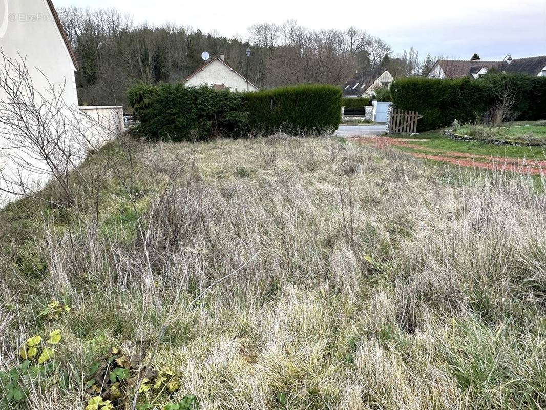 Photo 1 - Terrain à BREVAL