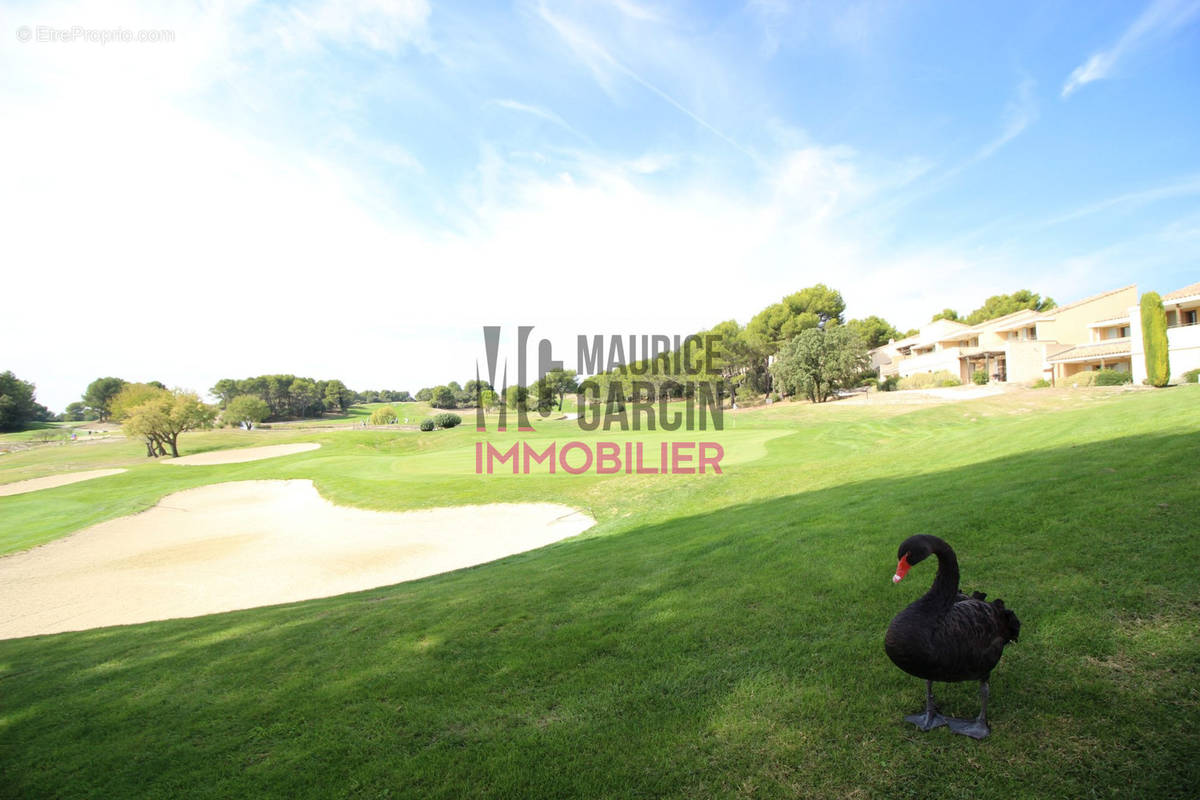 Appartement à SAUMANE-DE-VAUCLUSE