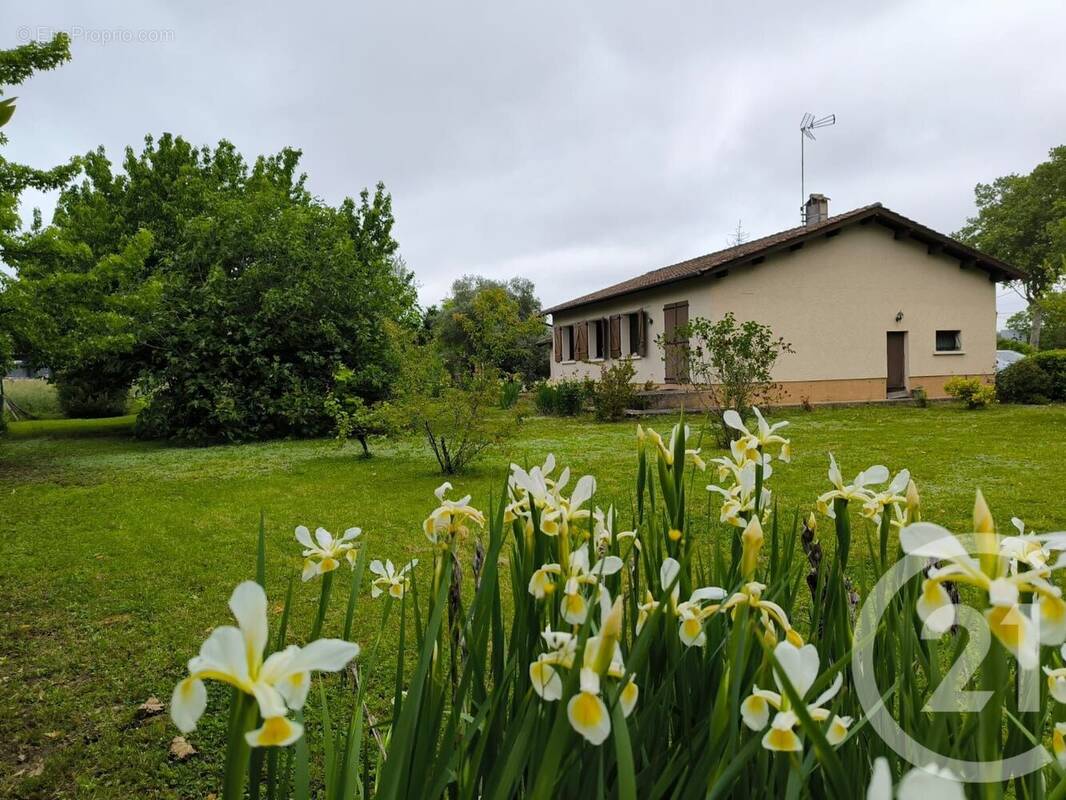 Maison à GAILLAC