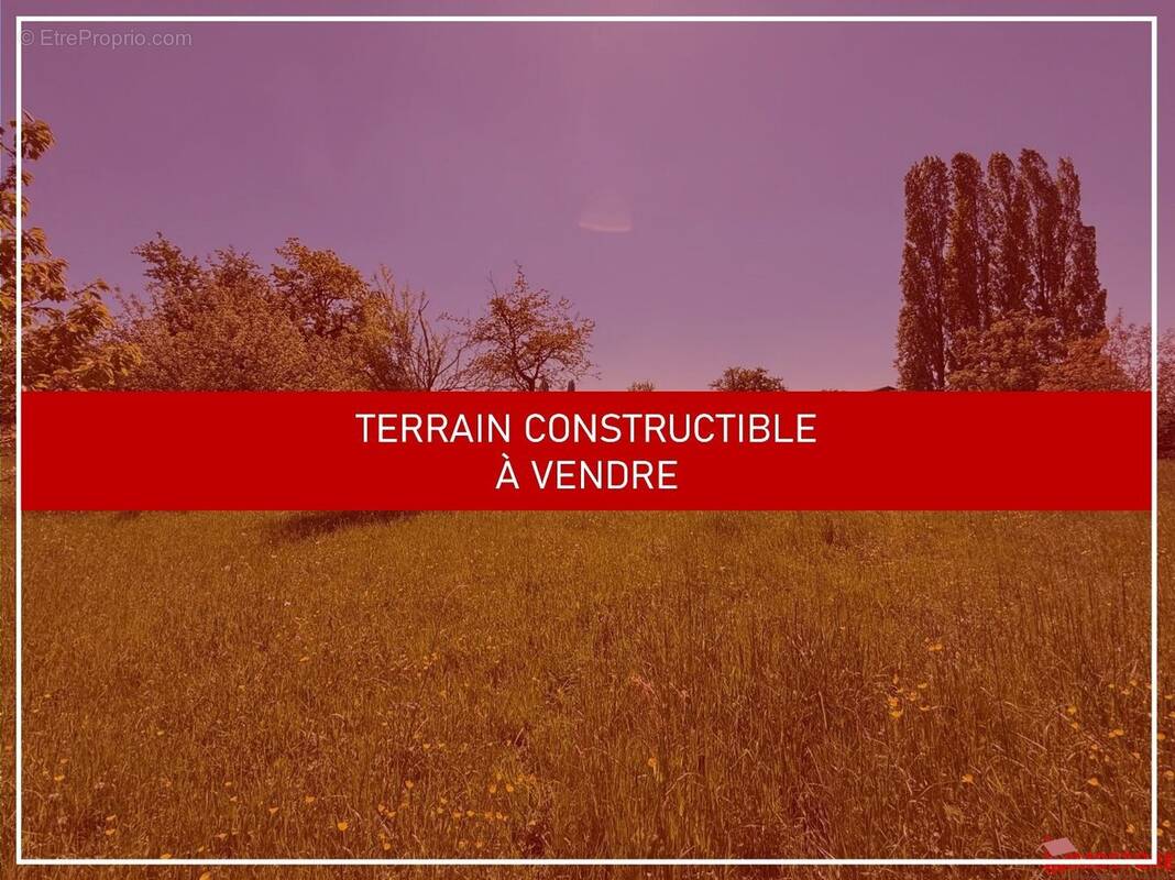 Terrain à MUESPACH-LE-HAUT