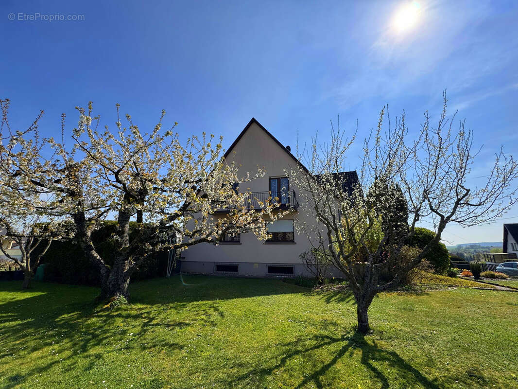 Maison à INGWILLER
