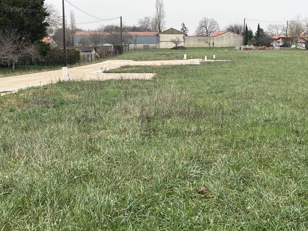 Terrain à MANSLE