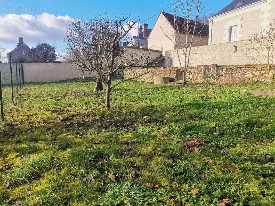 Terrain à BLERE